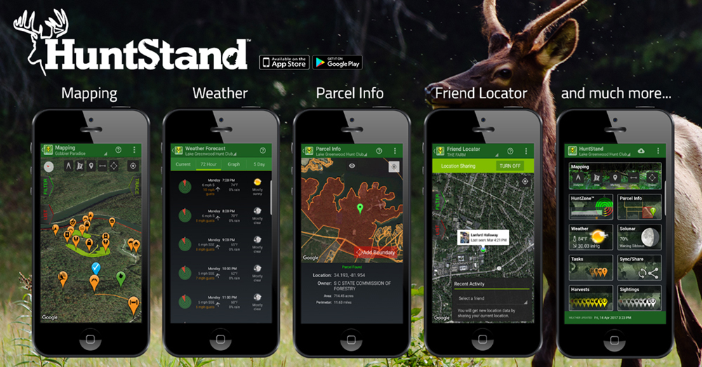 terrastride inc. internship - web graphic for social media